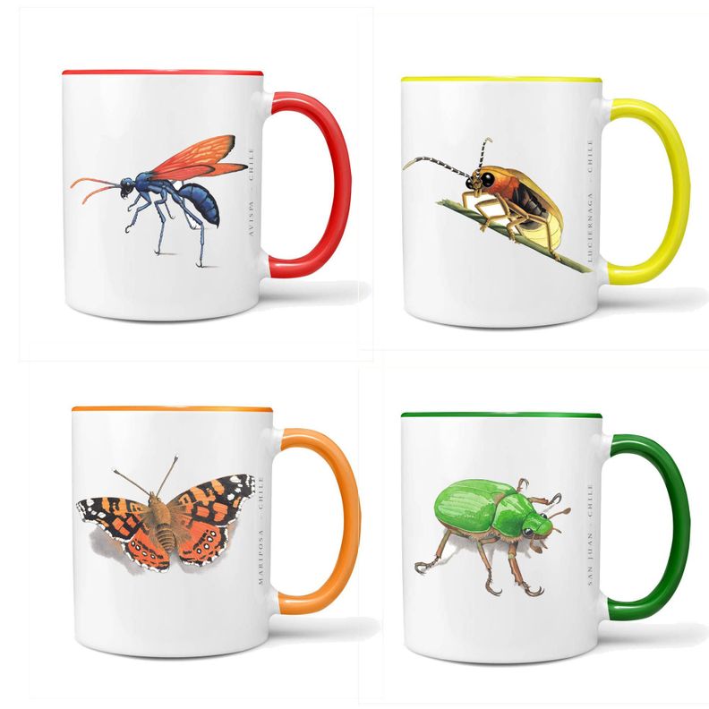 Set De 4 Tazones De Insectos N°2-0