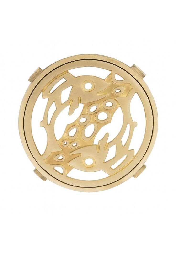 Rejilla Pileta Redonda 110mm Bronce ACERO INOXIDABLE POLI