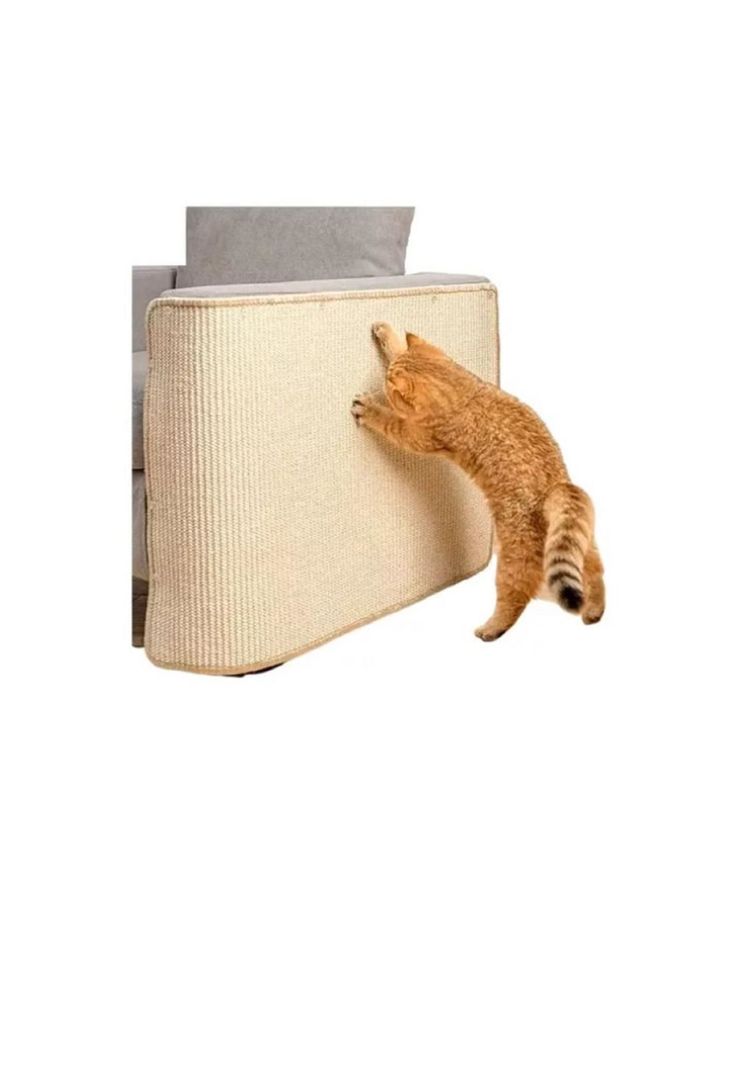 Rascador para Gatos Tipo Alfombra Sisal Trilipet-1
