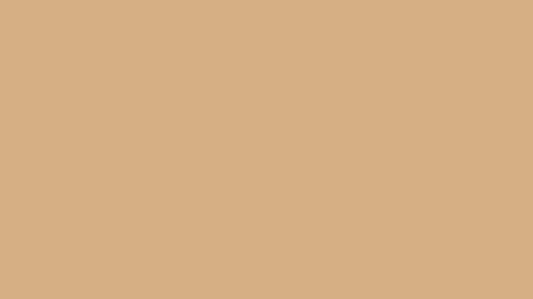 Latex Super Extra GALON Gamma Color DAMASCO INCA-1