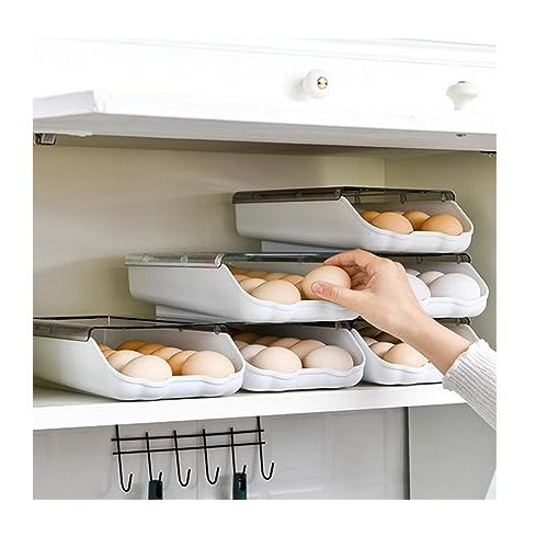Caja De Almacenamiento De Huevos Para Refrigerador-5
