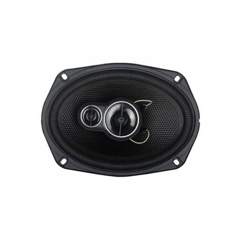 Parlante De Auto Aiwa 300W AW-6944P-1