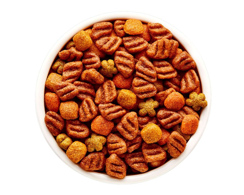 Alimento perro 8 kg razas pequeñas Dog Chow-2