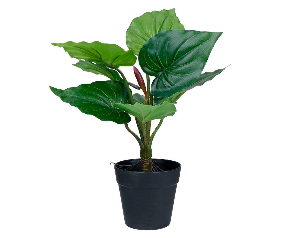 Planta artificial Croton D Outzen.-0