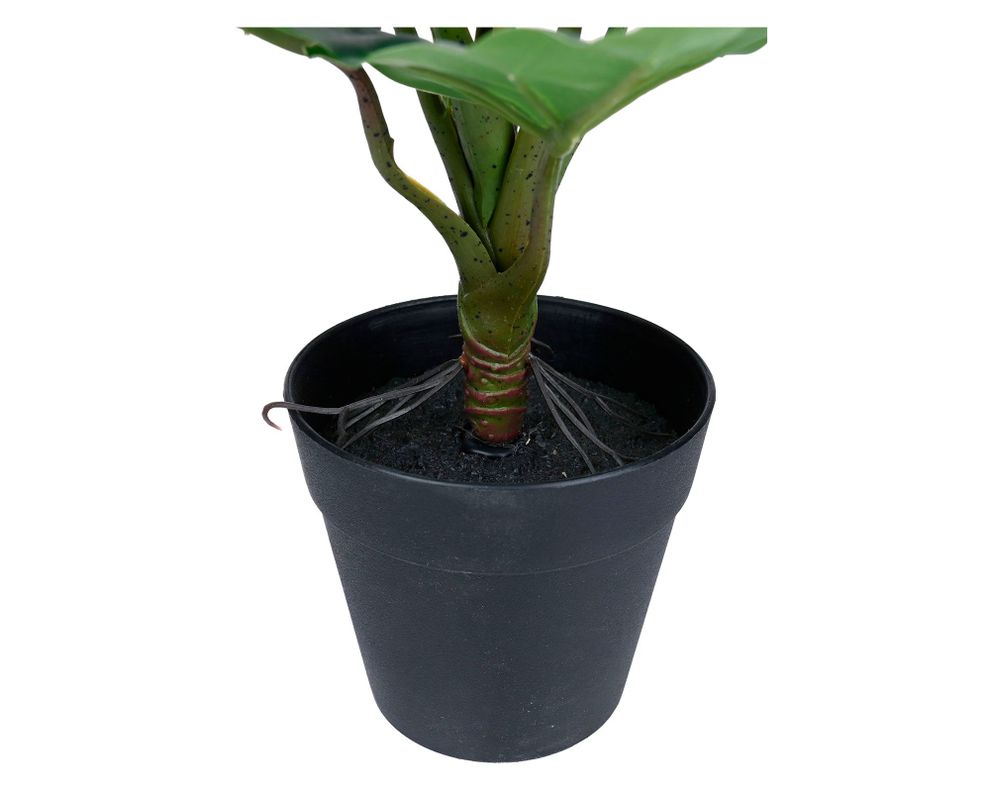 Planta artificial Croton D Outzen.-1