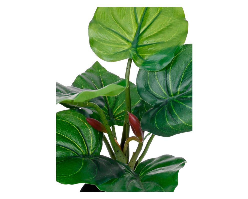 Planta artificial Croton D Outzen.-2