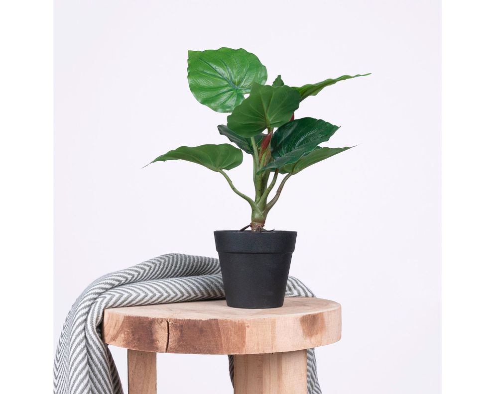 Planta artificial Croton D Outzen.-4