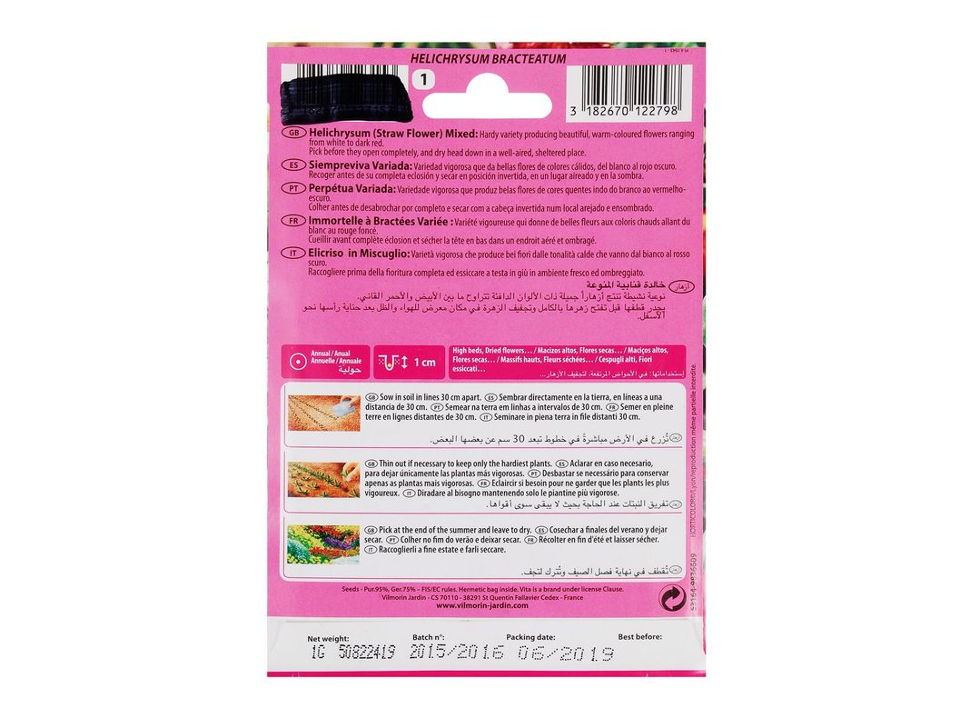 Semilla corriente siempre viva bracteatum sin desinfectar x1 g vita-1