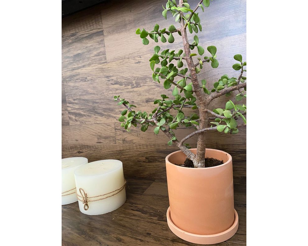 Macetero Cilindro terracota Decogreen-3