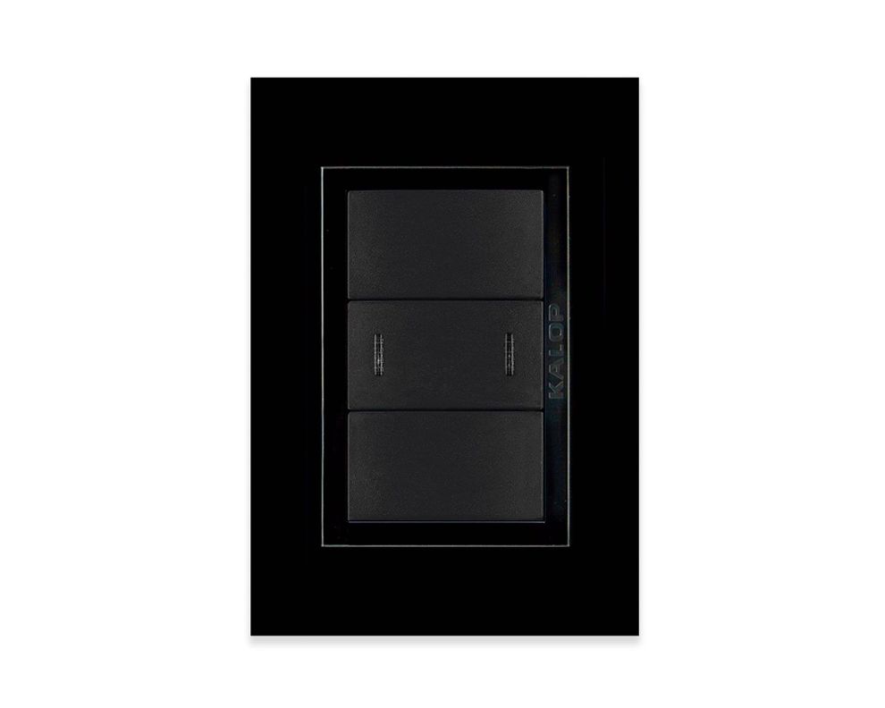 Interruptor 9/24 Zen basic armado negro-0