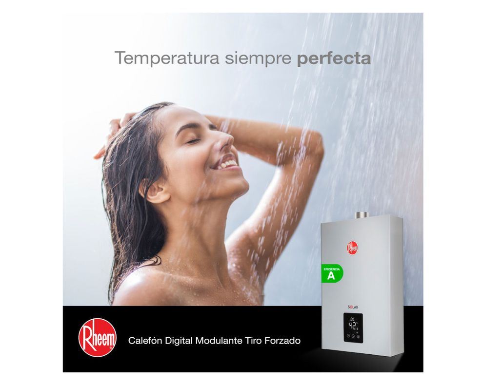 Calefont tiro forzado 10 litros Prestige gas natural-3