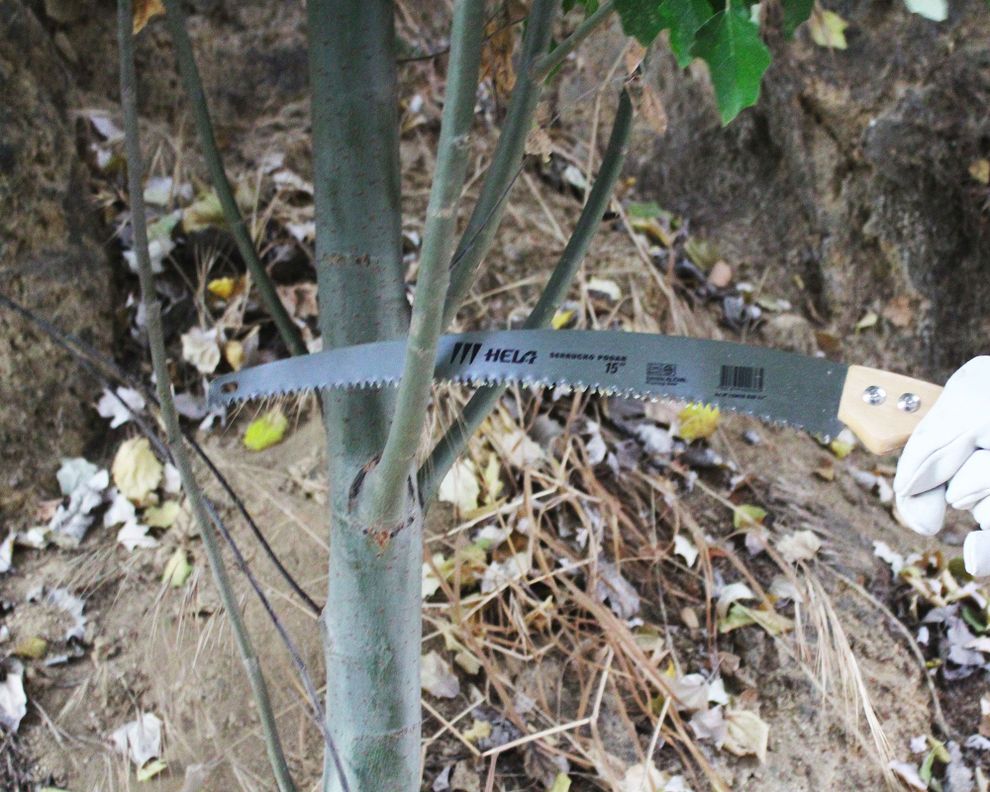 Serrucho para podar 15'' Hela-3