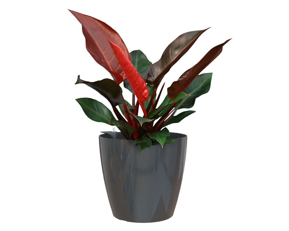 Maceta auto regable 36 cm San remo antracita-1