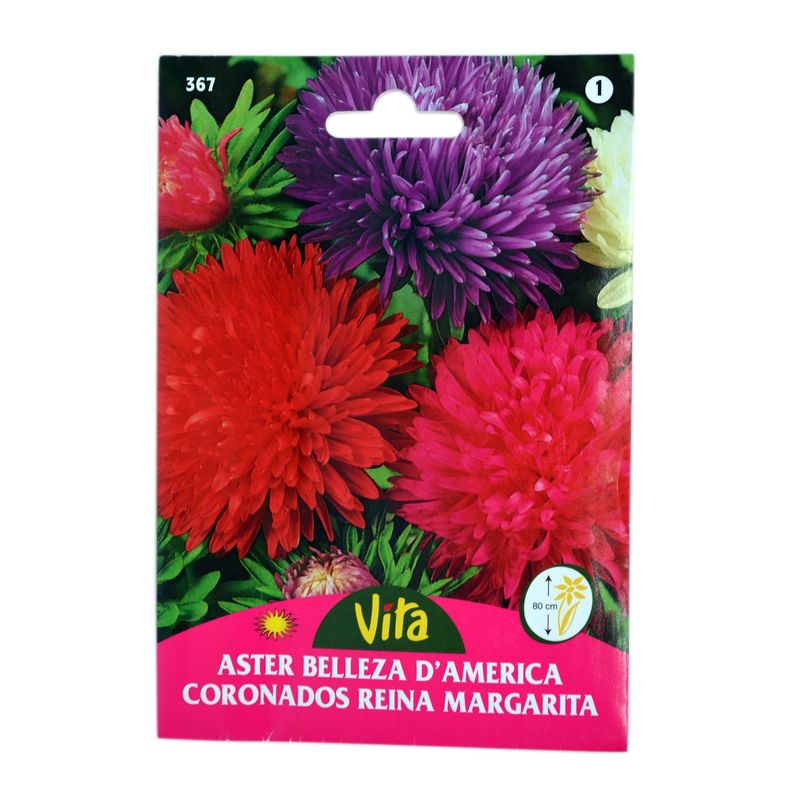 Semilla corriente reina margarita belleza variada desinfectada x0.8g vita-0