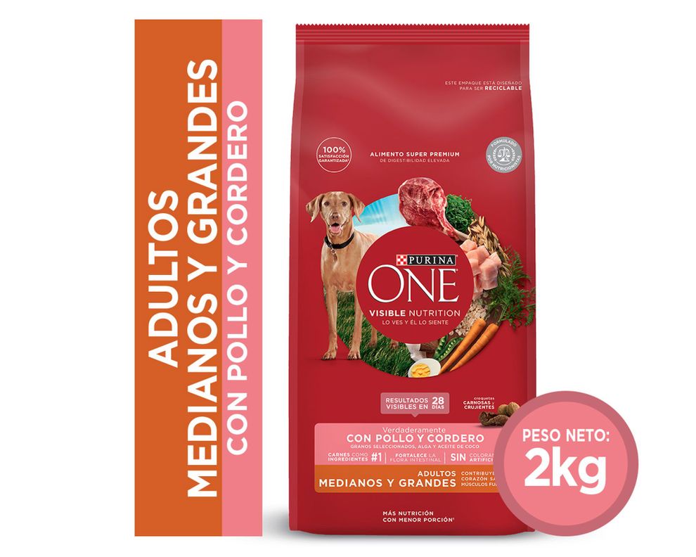 Alimento perro adulto 2 kg mediano/grande pollo y cordero Purina One.-0