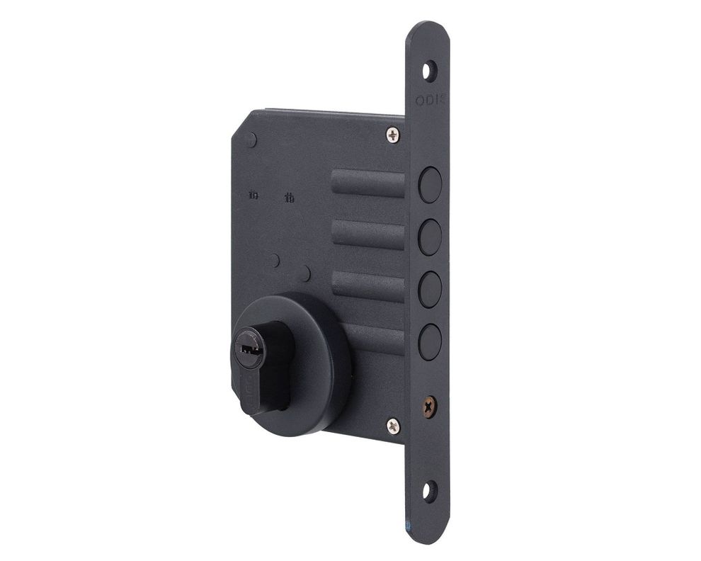 Cerrojo embutir 600 llave-llave negro Odis-1
