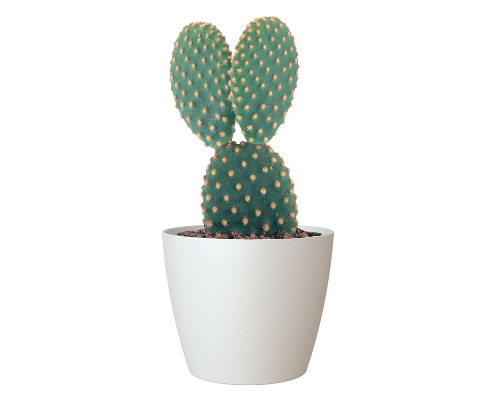 Maceta 20 cm San remo blanco-1