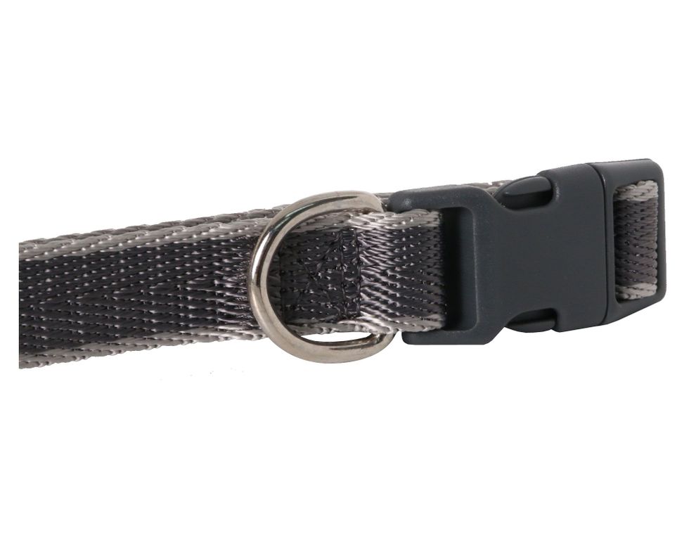 Collar perro M liso Pet's fun-6