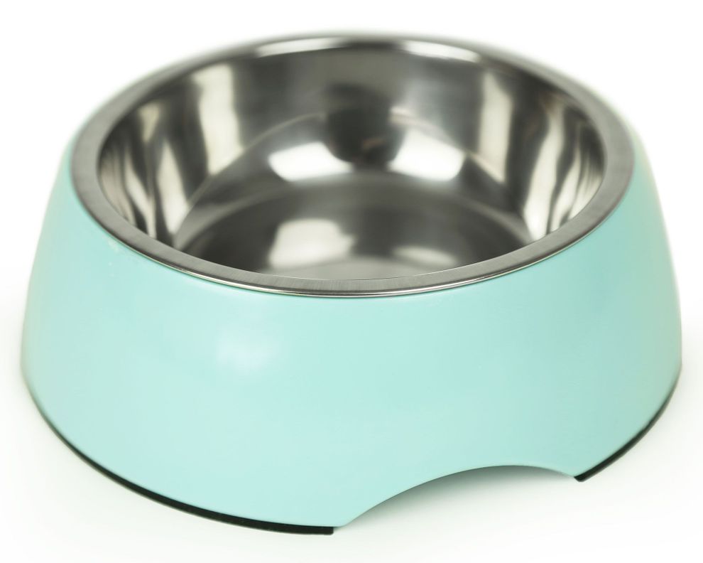 Plato mascota 17 cm celeste BRNX-0