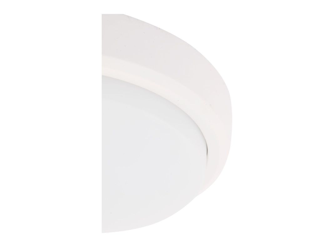 Foco 14 LED luz neutra tortuga Drl-2