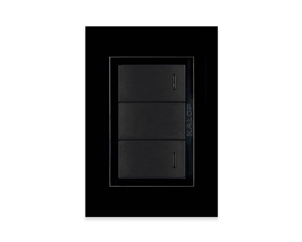Interruptor 9/15 Zen basic armado negro-0
