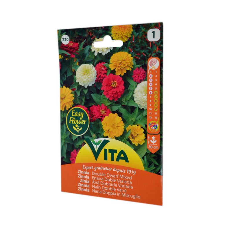Semilla corriente zinnia enana doble variada desinfectada x2 g vita-1