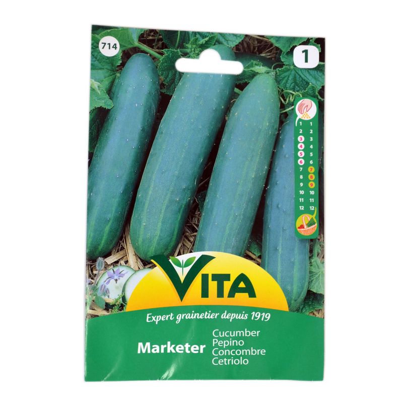 Semilla corriente desinfectada pepino medio largo mercado verde vita-0