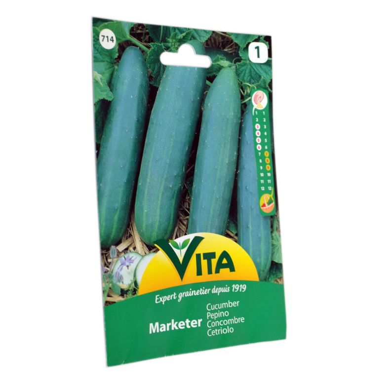 Semilla corriente desinfectada pepino medio largo mercado verde vita-1
