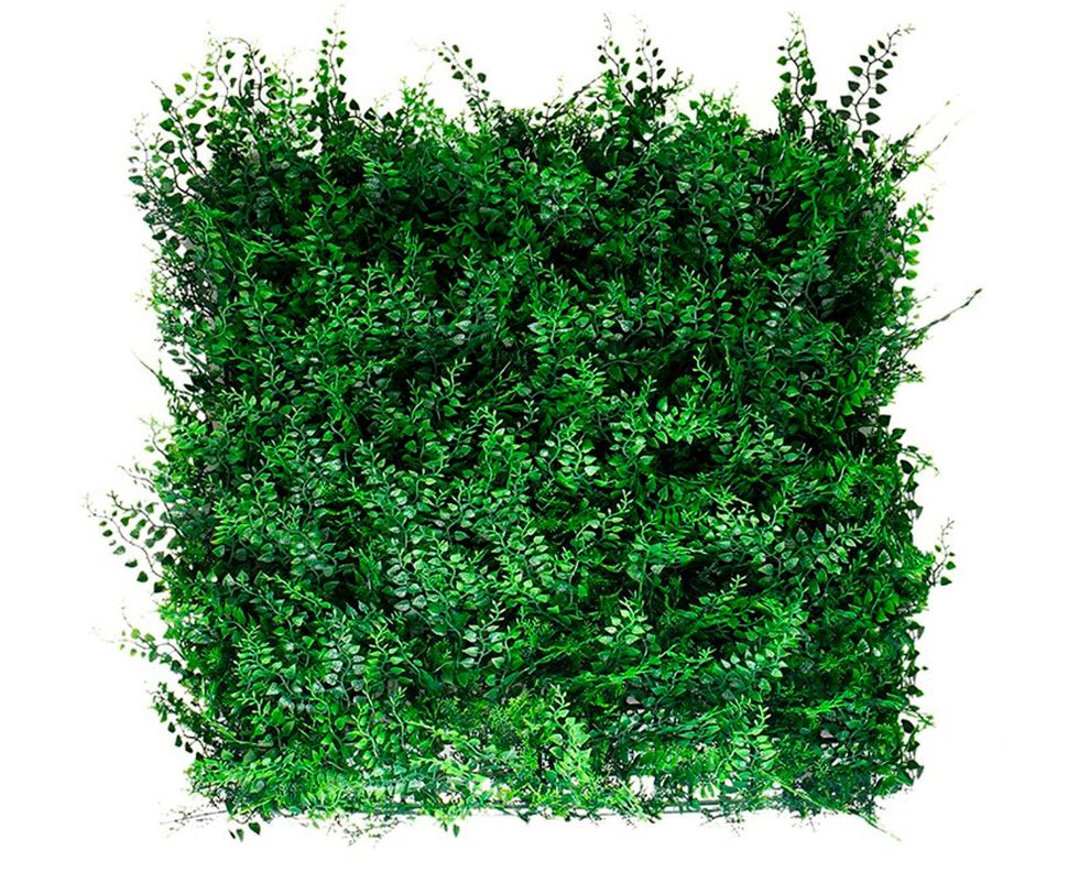Jardín vertical helecho 50x50 cm Fern-0