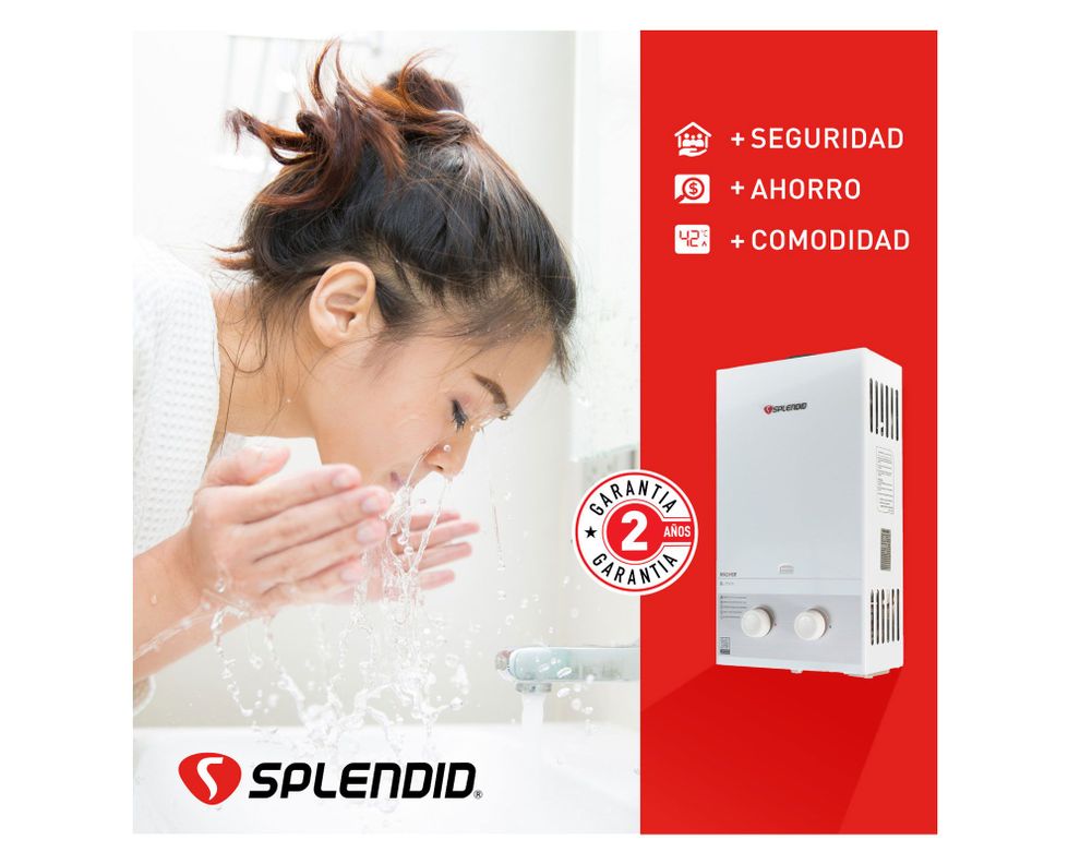 Calefont ionizado tiro natural 8 litros gas licuado Master Splendid-2