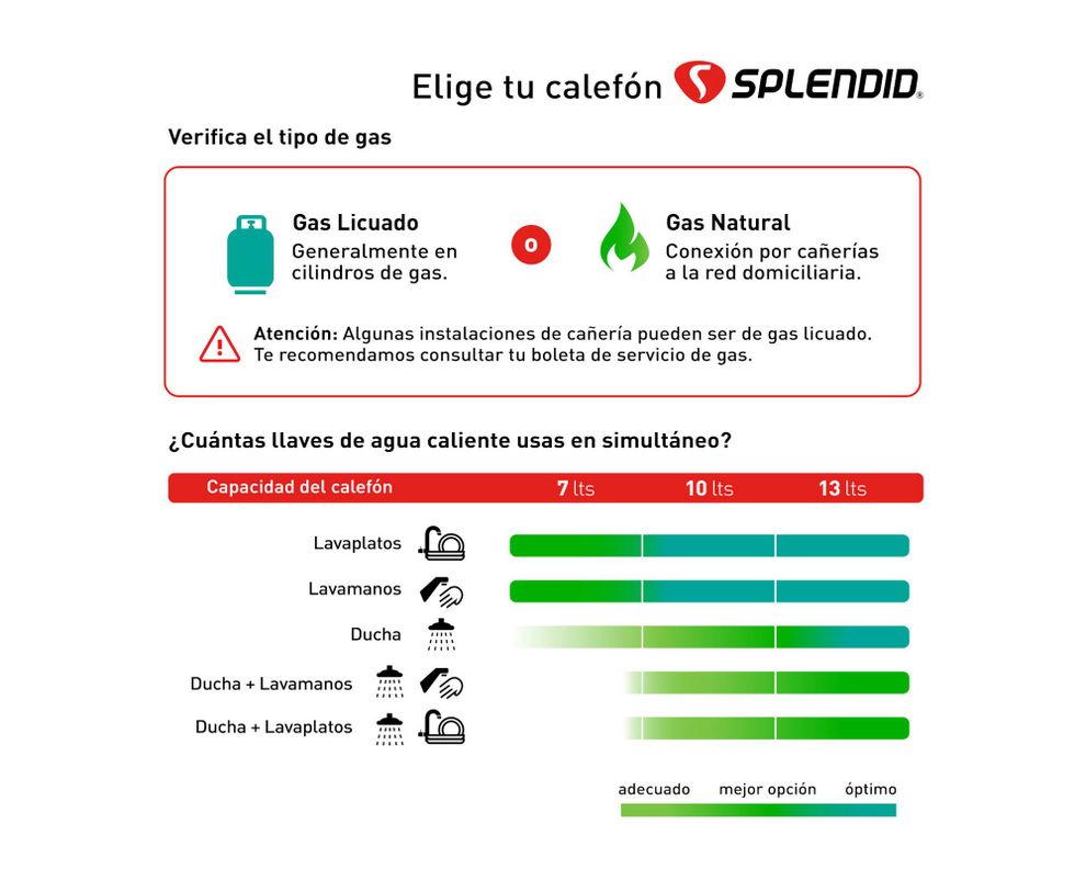 Calefont ionizado tiro forzado 10 litros gas licuado Master Splendid-4