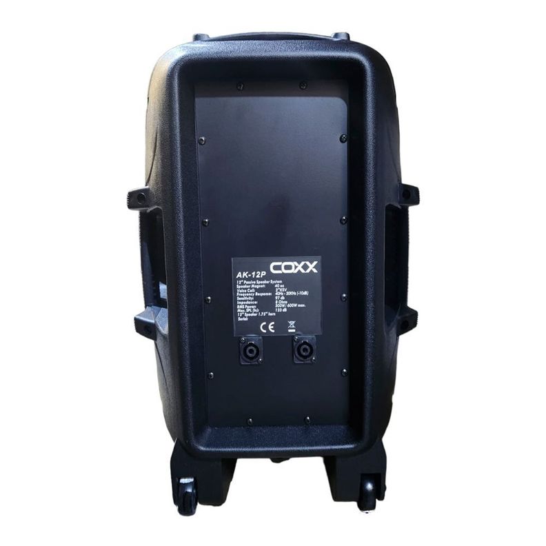 CAJA ACUSTICA PASIVA 12" 600W COXX-1