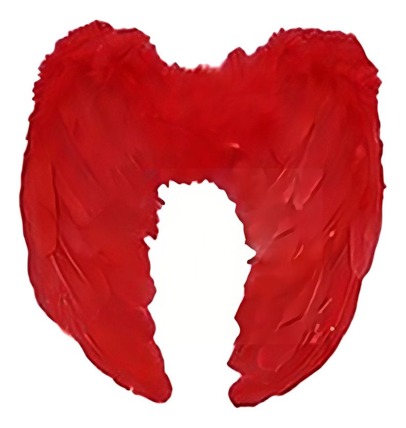 Alas De Angel De Plumas - Rojas-0