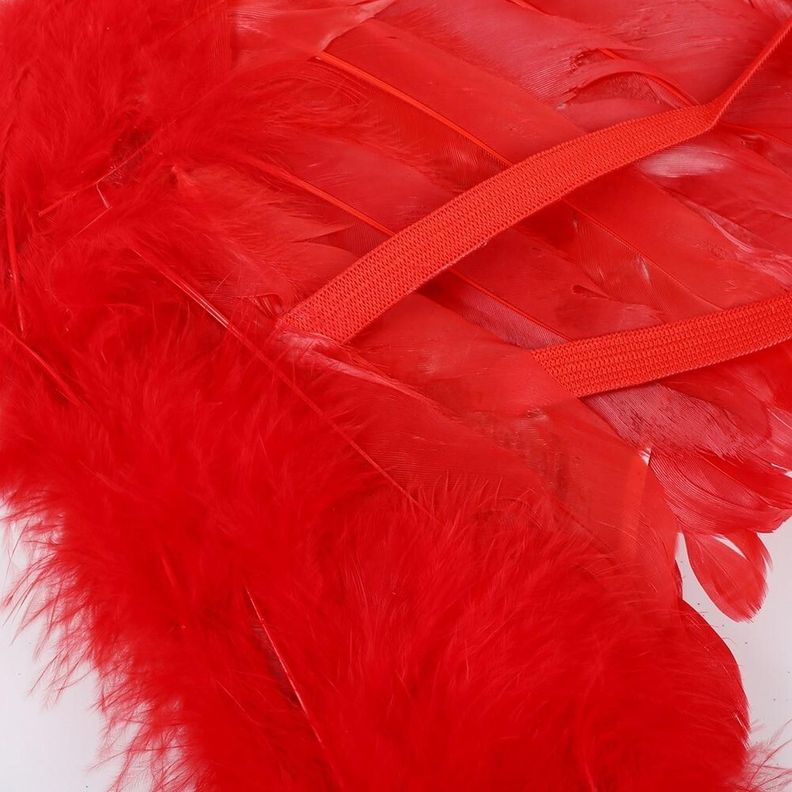 Alas De Angel De Plumas - Rojas-2