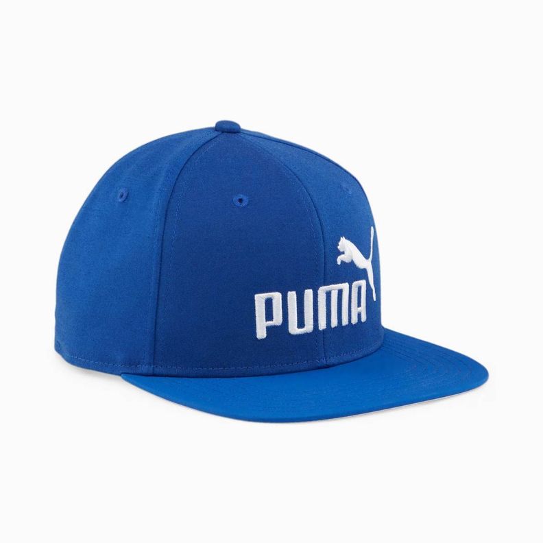 Snapback Puma Essentials Flat Brim 02511602-0