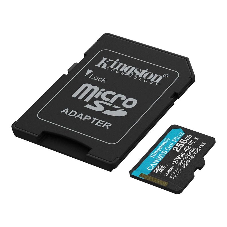 SDCG4/256GB MICROSDXC CANVAS GO PLUS GEN4 200MB/S A2 U3 V30 Negro