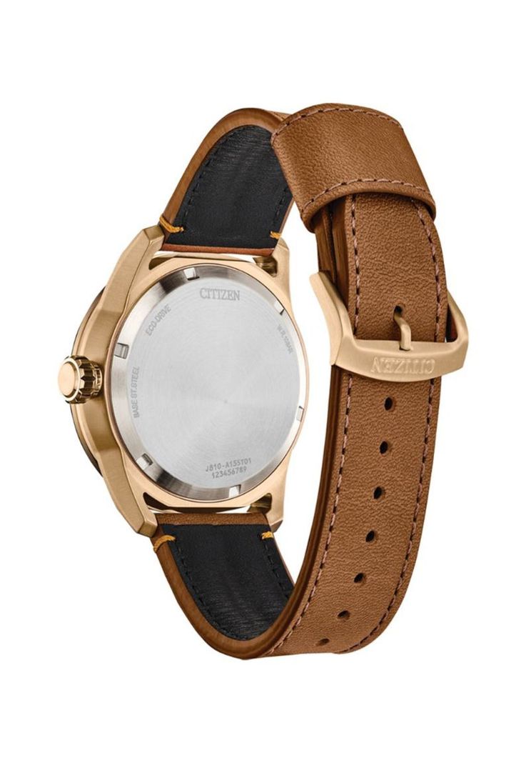 Reloj Citizen Hombre AW1733-09E Premium Eco-Drive-2