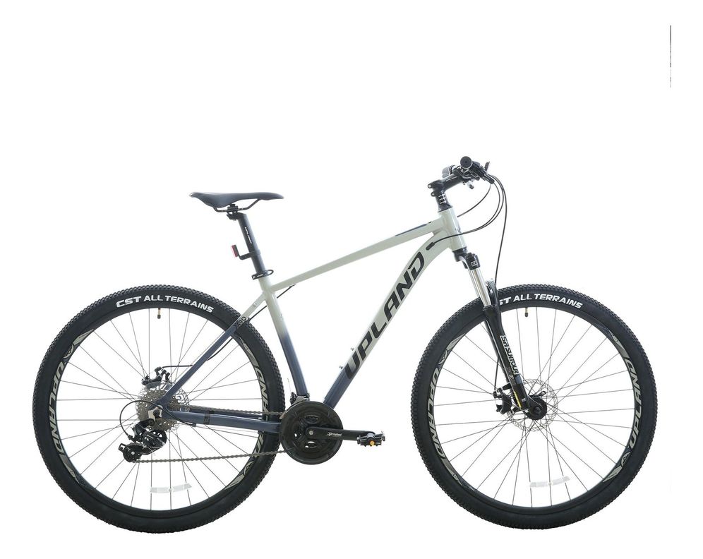 Bicicleta Upland X90-29 Talla 18 Gris-0