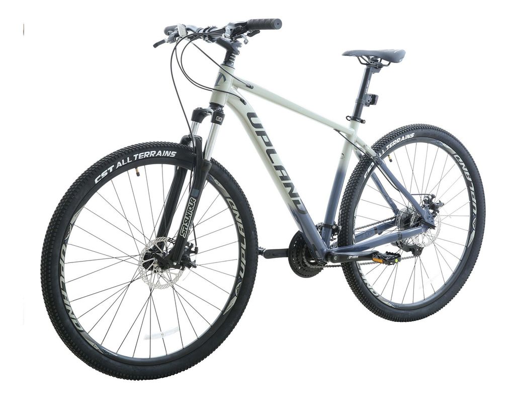 Bicicleta Upland X90-29 Talla 18 Gris-1