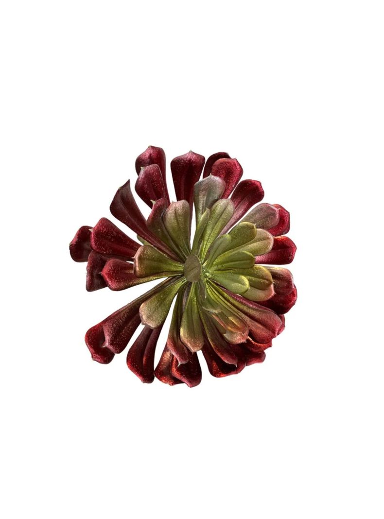 Flor suculenta L rojo-0