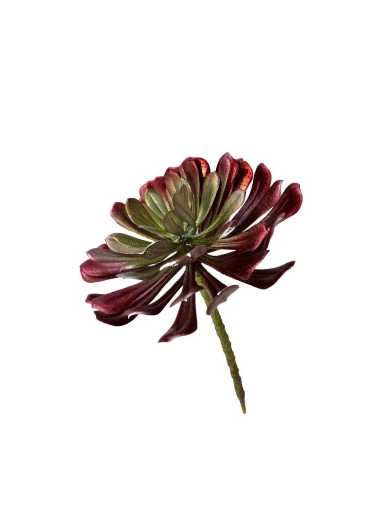 Flor suculenta L rojo-2