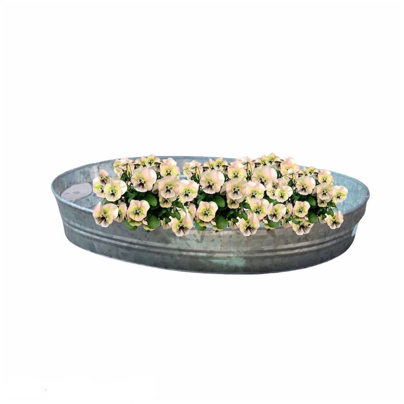 Bandeja galvanizada ovalada 50x40x8,5 cms-2