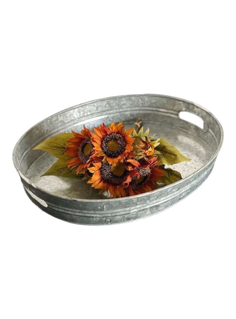 Bandeja galvanizada ovalada 50x40x8,5 cms-0