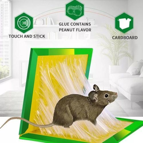 Trampa Para Raton Adhesiva Mouse & Rat-4