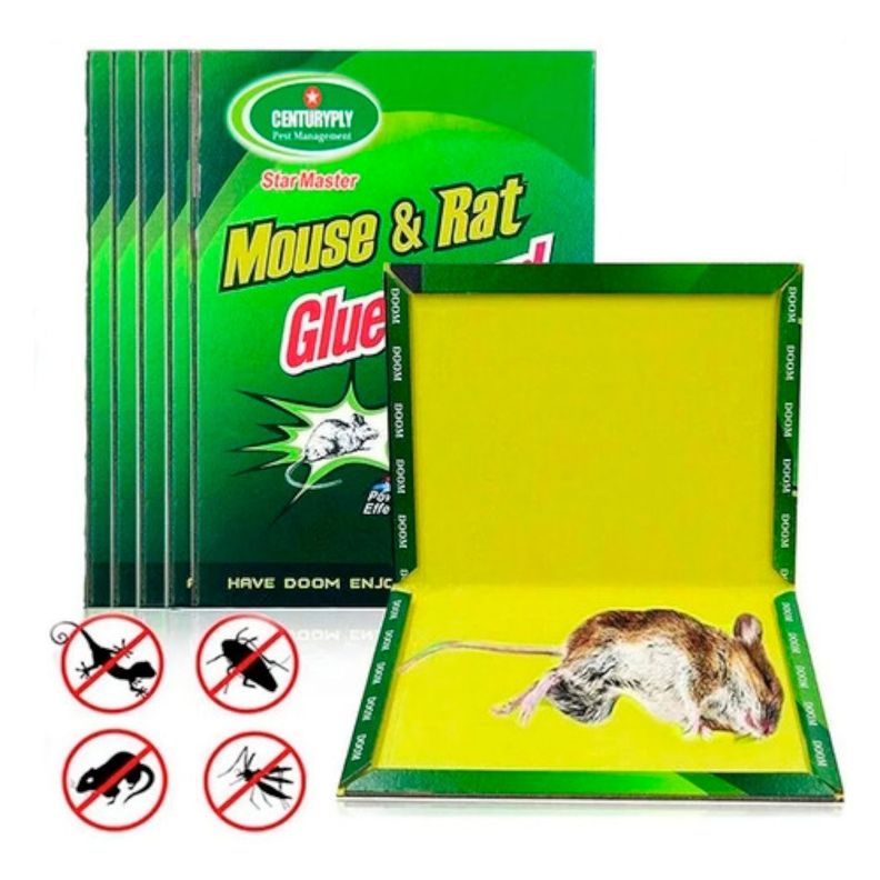Trampa Para Raton Adhesiva Mouse & Rat-0