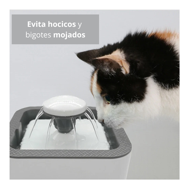 Fuente De Agua Para Gatos Y Perros De 2.5 Litros De 3 Modos-6