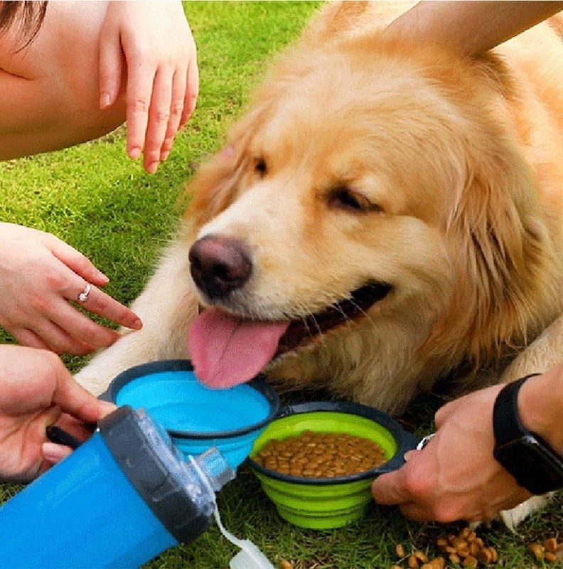 Bebedero Botella De Agua Portátil Para Perros Masc-6