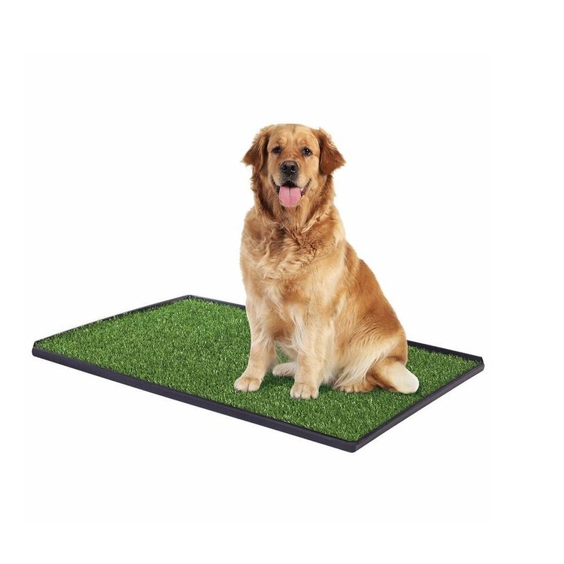 Baño Ecologico Mascota Grande XXL Perro Lavable-1