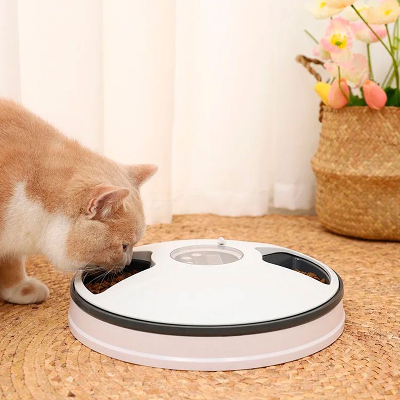 Dispensador Dosificador Automático Para Mascotas-4