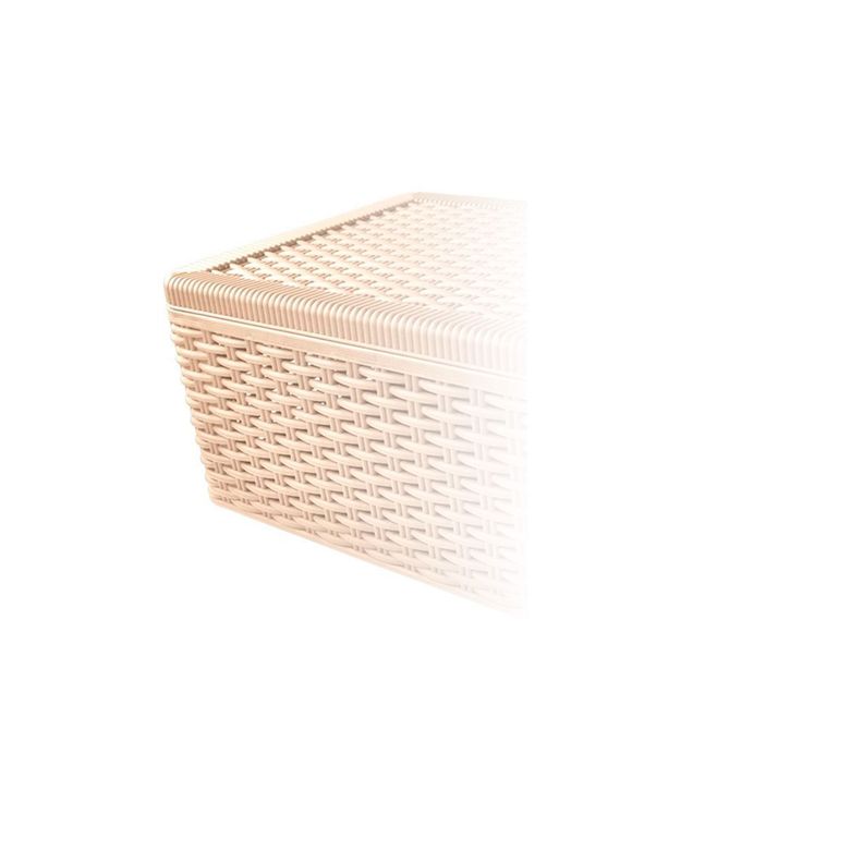 Canasto Organizador Ratan Con Tapa Beige Grande-2